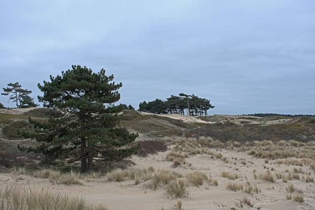 Zuid-Kennemerland National Park